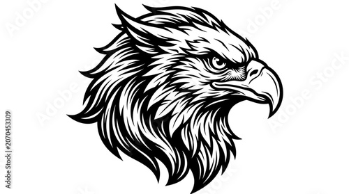 Detailed illustration of a fierce eagle head profile.