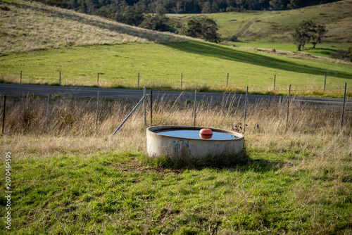 Concrete Livestock Water Trough in Green Rolling Hills Pastoral Australian Farm Field