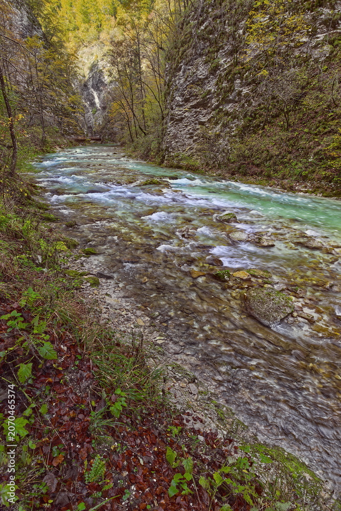 Fototapeta premium The Radovna river roaring green waters rush torrentially along the Soteska Vintgar (gorge), equipped with wood walkways and bridges. Bled-Slovenia-093