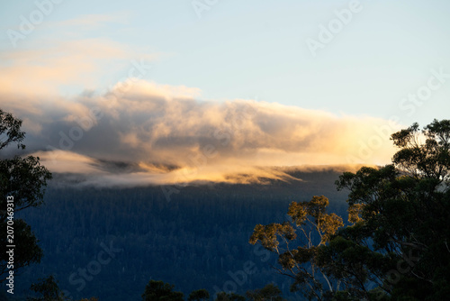 Golden Hour Clouds and Mist Over Mountain Forest with Australian Eucalyptus Trees in winter