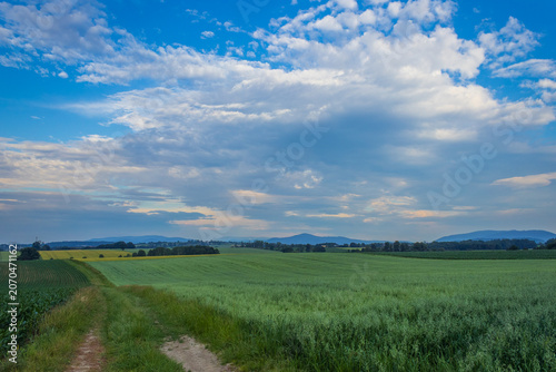 Country Road Through Green Fields Under Dramatic Cloudy Sky
