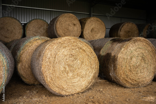 Large Round Hay Bales Stacked Inside a Modern Farm Shed for Winter Livestock Feed Storage on Ranch in australia