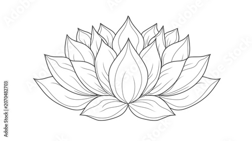 Elegant vector illustration of a lotus flower in black and white outline