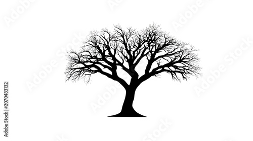 Silhouette of a bare tree against a white background for design elements
