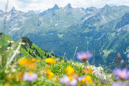 Obraz na płótnie Swiss alps summer mountain panorama with colorful wildflowers