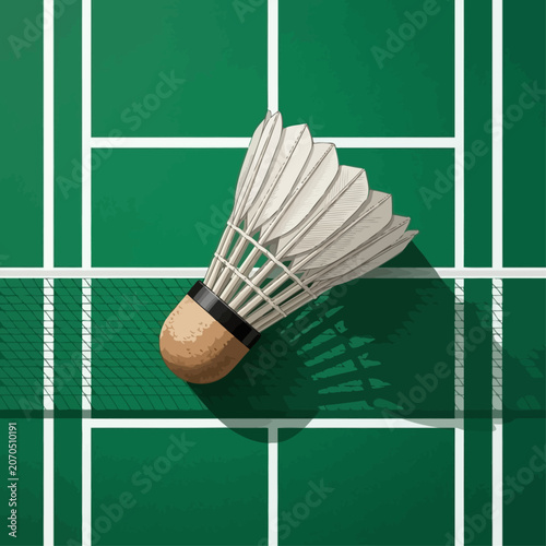 Shuttlecock lies on green badminton court with white lines and shadow.