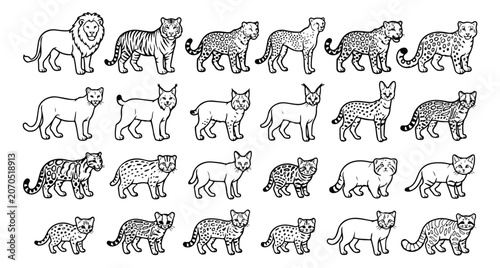 Photography Animal Line Art Vector Mega Set | Black and White Wildlife Outline Collection Bu