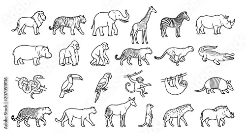Canvas Print Animal Line Art Vector Mega Set | Black and White Wildlife Outline Collection Bu