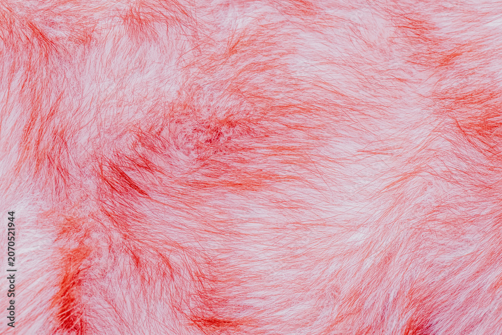 Fototapeta premium Vibrant abstract pattern of soft light pink faux fur texture with delicate fluffy fibers surface