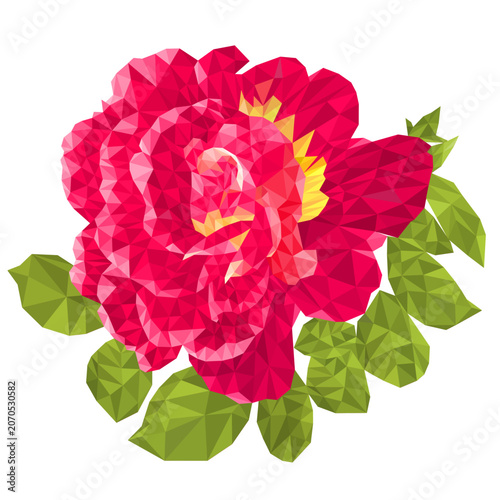 Red rose outline low-polygon  on a white background  vector botanical illustration editable hand draw