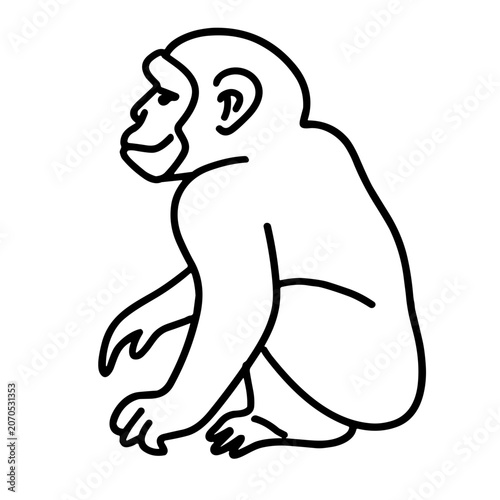 Photography cute monkey icon illustration