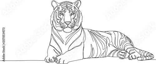 Photography Tiger Line Art Drawing, Majestic Feline Resting, Simple Outline Sketch