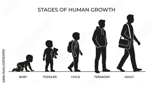Silhouettes showing human growth stages: baby crawling, toddler walking, child upright, teenager taller, adult fully grown, progression of life.