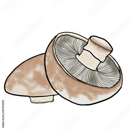 Bild auf Leinwand Portobello Mushrooms