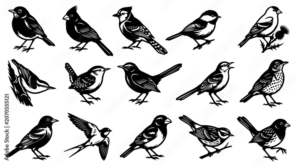 Fototapeta premium Diverse Bird Species Collection in Vintage Engraving Style Monochrome Line Art for Wildlife Nature Education