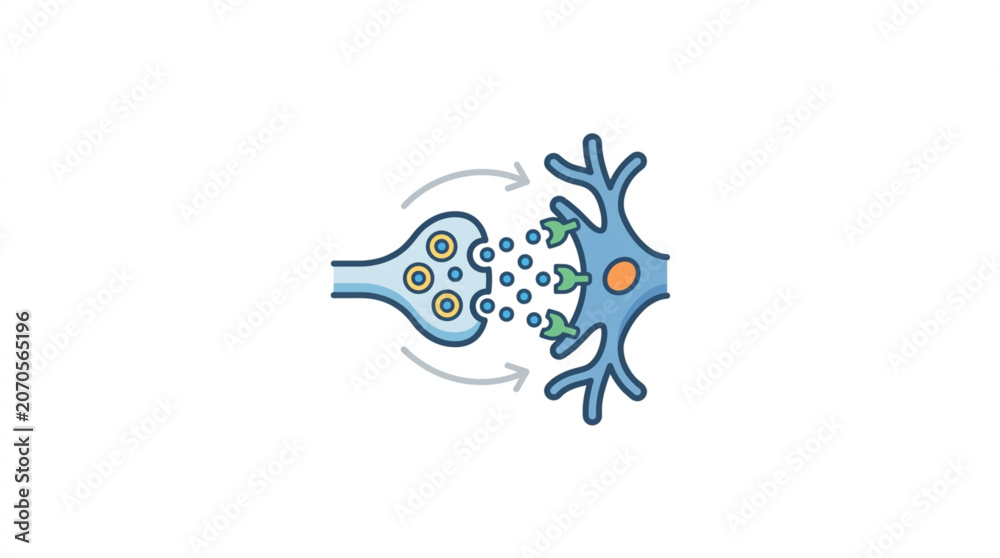 Fototapeta premium Synapse transmission illustration showing neurotransmitter release and receptor binding.