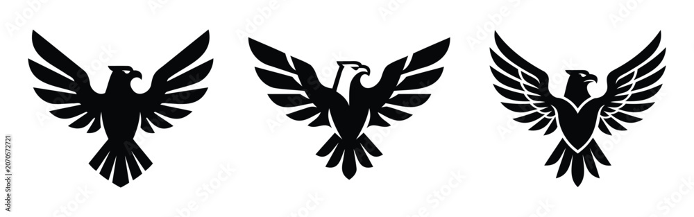 Fototapeta premium Flying Eagle Silhouette Vector, Set for Logo Branding and Wildlife Design