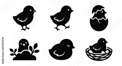 Schilderij op canvas Black Chick Silhouettes Vector Illustration Set On White Background