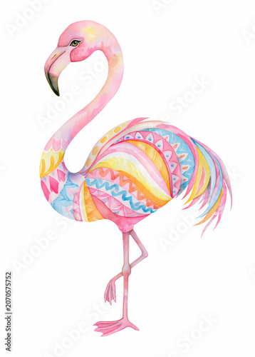 vector illustration of flamingo