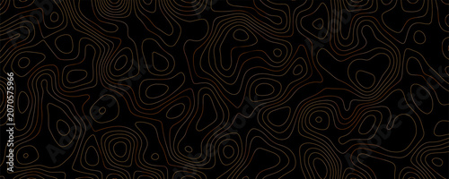 Obraz na plátně Topographic map contour lines pattern with thin copper-colored lines on a solid