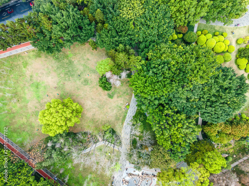 Bild auf Leinwand Aerial Top View of Urban Park with Lush Greenery and Pathways