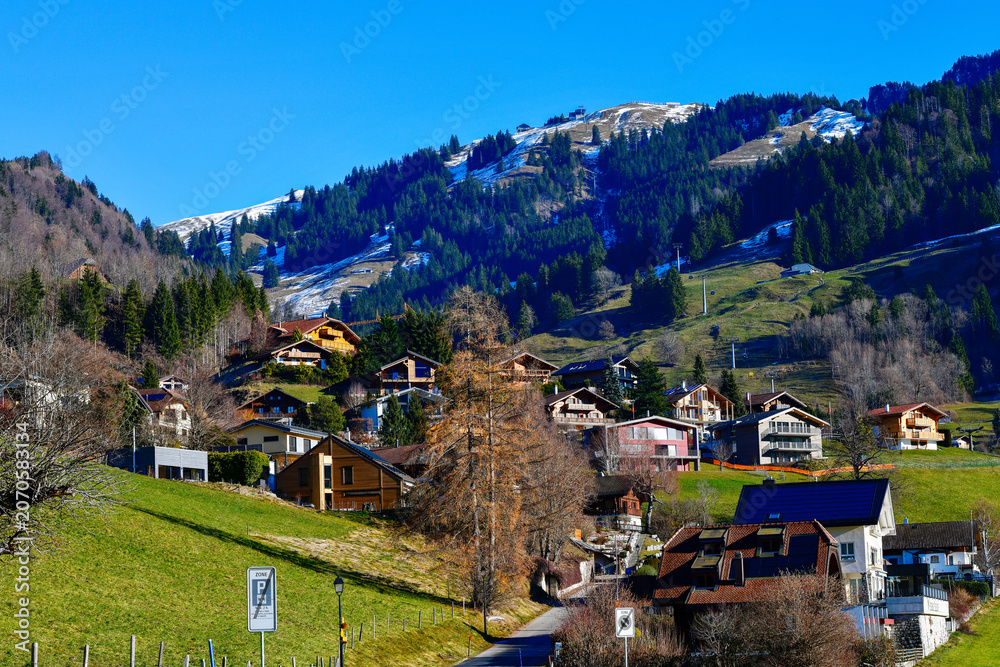 Fototapeta premium Malerische Chalets im Bergdorf Charmey vor bewaldeten Berghängen im Winter, Schweiz