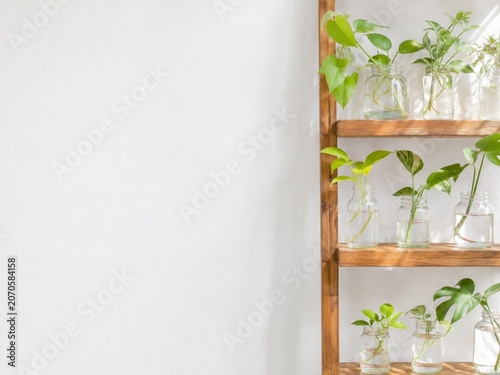 Indoor plant propagation shelf with glass jars and bright copy space