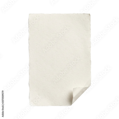 Quadro su tela Blank handmade paper with torn edge and curled corner