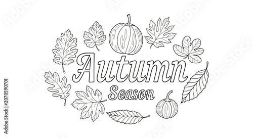 Autumn season leaves and pumpkin illustration.