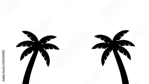 Animated coconut palm trees walking smoothly