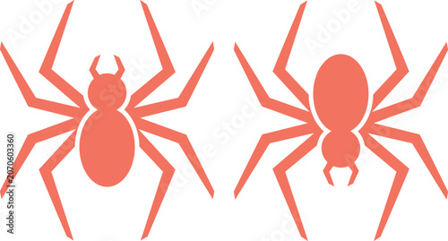 Foto Two coral pink spider icons vector elements isolated on white background for Hal