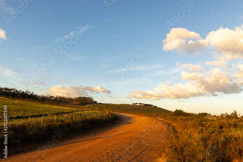 sunrise light on rural dirt road, Stanford, South Africa