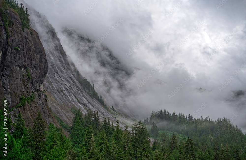 Obraz premium Mountains and trees under cloudy sky near a mountain range in a forest during a foggy day