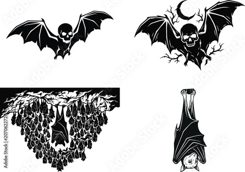Black bat with skull illustration flying against dark background