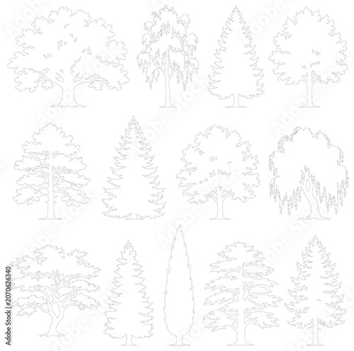 Minimalist tree line art collection, 13 thin stroke vector tree icons, botanical outline illustrations of oak pine and willow for landscape design