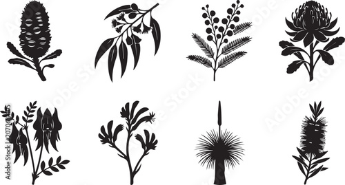 Canvastavla Australian Native Flower Silhouette Set Featuring Banksia Eucalyptus Wattle Wara