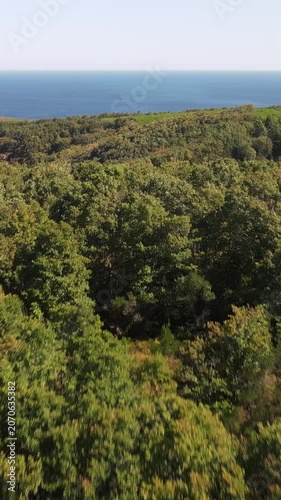 Autumn forest nature aerial view