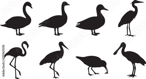 Tableau sur toile Water Birds Silhouette Vector Icon Set Featuring Swan Goose Duck Heron Flamingo