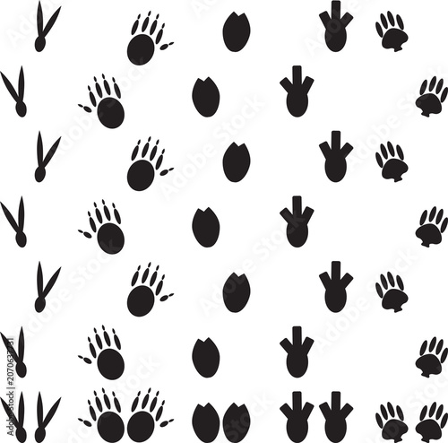 Animal foot print set illustration