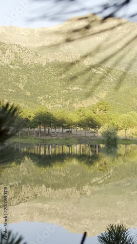 Captivating Alpine Scenery: Glassy Lake Reflections and Majestic Mountain Landscapes