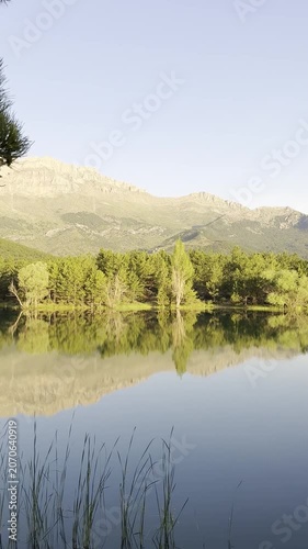 Mirror of Nature: Pristine Alpine Lake Surrounded by Evergreen Forests