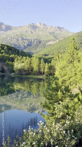 Breathtaking Wilderness: Majestic Mountains and Lush Pines by the Water