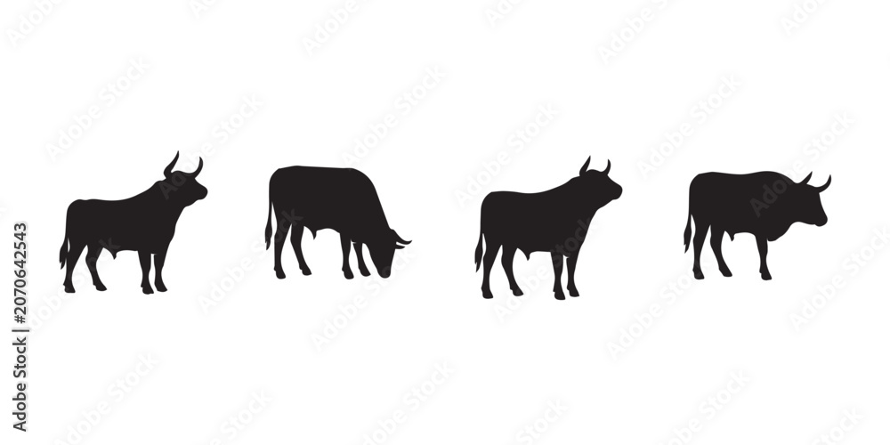 Fototapeta premium Four rearing bull silhouettes in dynamic poses, isolated on white for aggressive animal art, logo, poster, and print use.