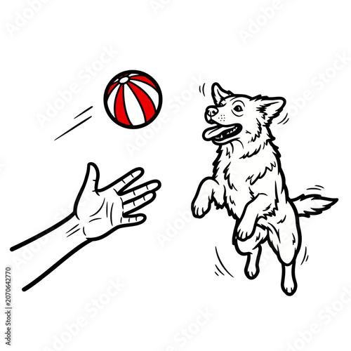 Dog jumping to catch a ball in midair.