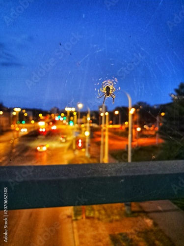 A spider waiting on its web illuminated by a street lamp at night with a blurred residential area of Prague in the background.