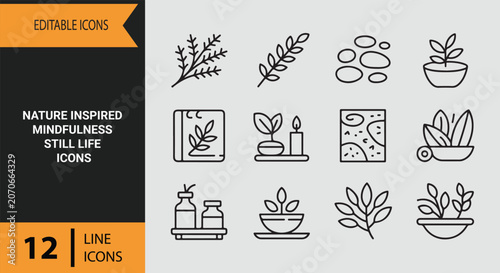 Photography Earthy nature inspired mindfulness still life outline icons for outdoor therapy