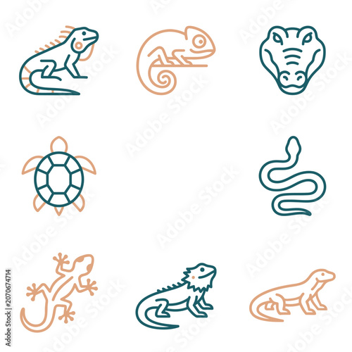 Schilderij op canvas Reptile Icons Set: Iguana, Chameleon, Crocodile, Turtle, Snake, Lizard, Agama, K