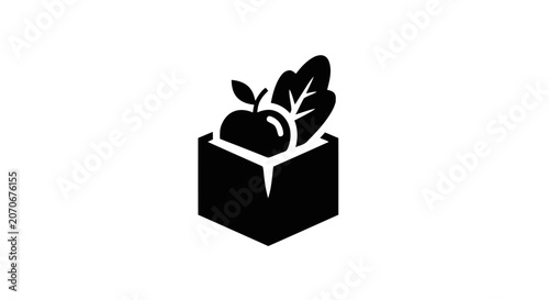 Black Box with Green Plant Growing.
