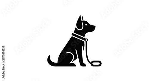 Fotografie Black dog sitting on leash quietly.