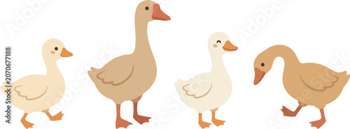 Foto Cute Farm Geese and Ducks Vector Clipart Set Featuring Swimming and Walking Wate